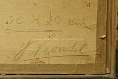  / Zátiší s rybami /   Neznačeno