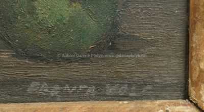  / Ovocné zátiší / Franta Volf