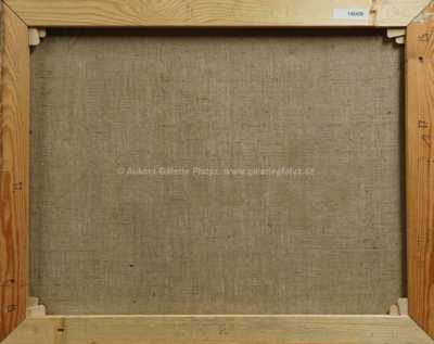  / Ve stáji /   Neznačeno