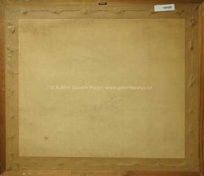  / Na poli / Vojtěch  Sedláček