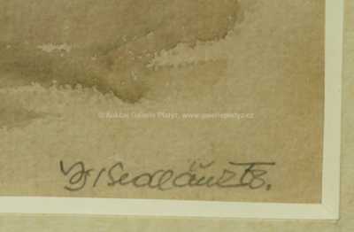  / Na poli / Vojtěch  Sedláček