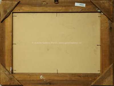  / U potoka / Josef Procházka