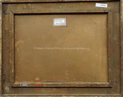  / Na kraji vesnice / Josef Hubáček