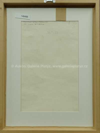  / Plesiadapis gidleyi / Zdeněk Burian