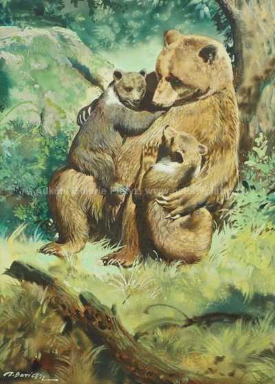  / Medvědí rodinka / Zdeněk Burian