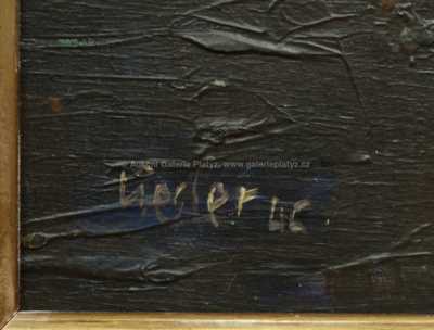  / Před zrcadlem / Josef Liesler