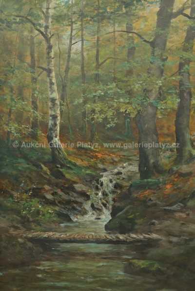  / Lesní potok /   Neznačeno