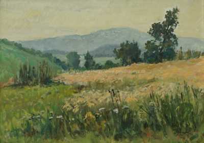  / Na okraji pole / Jaromír Kunc