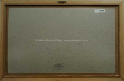  / Z kláštera / Zdeněk Burian