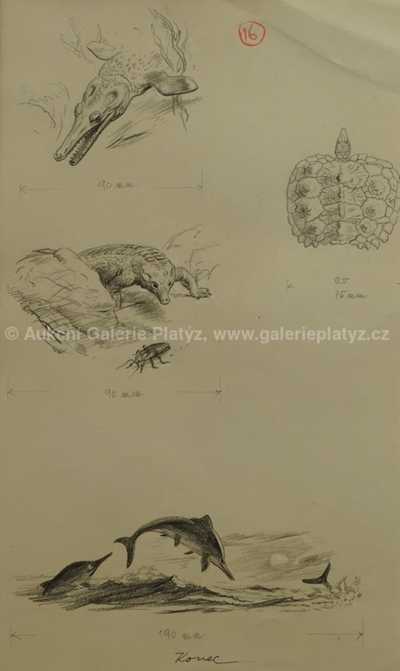  / Studie / Zdeněk Burian