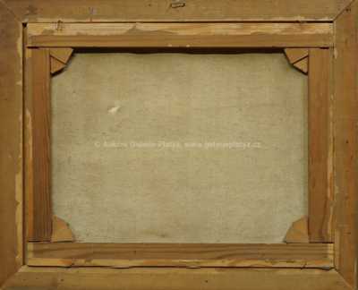  / Makové pole / Antonín  Augusta