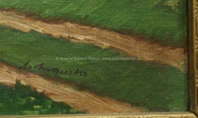  / Makové pole / Antonín  Augusta