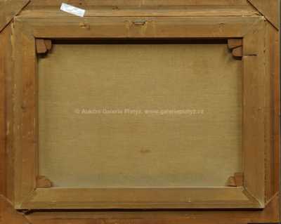  / U rybníka / František X. Diblík