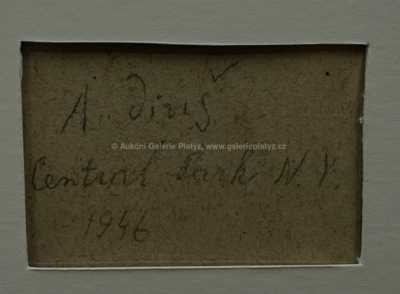  / Central Park / Alén Diviš