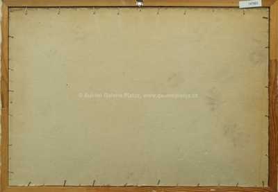  / Stromy u  cesty / Vojtěch  Sedláček