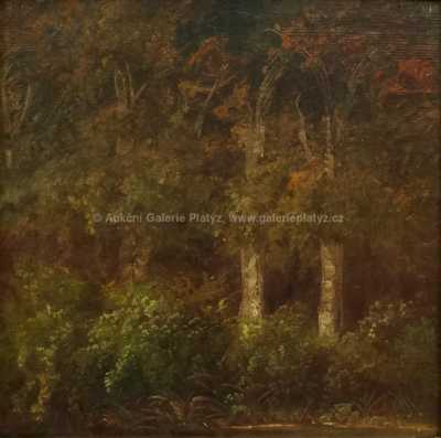  / Stromy pod strání / A. B. Piepenhagen