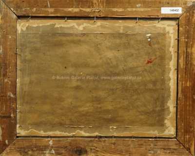  / Z Francie / Zdena Braunerová