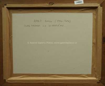  / Pod vodou / Adolf Born