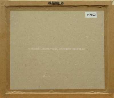  / Studie opičky / Zdeněk Burian