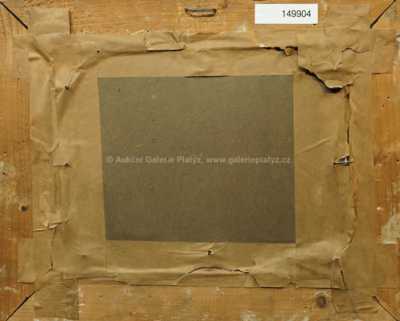  / V bouři / Cyril Jančálek