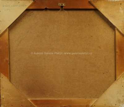  / Požár lesní chaty / František Blažíček