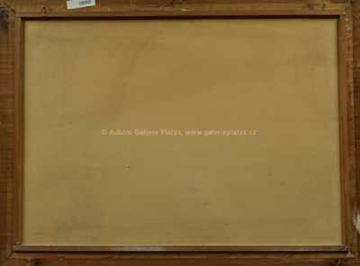  / Stavení v krajině / Vojtěch  Sedláček