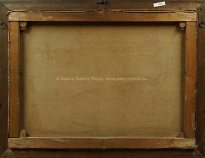  / Políčko / Viktor Oliva