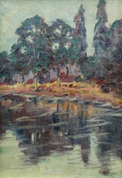  / Stromy u řeky / Robert Holzer