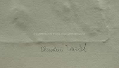  / Jaro / Olbram Zoubek