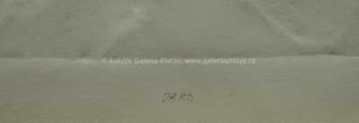  / Jaro / Olbram Zoubek