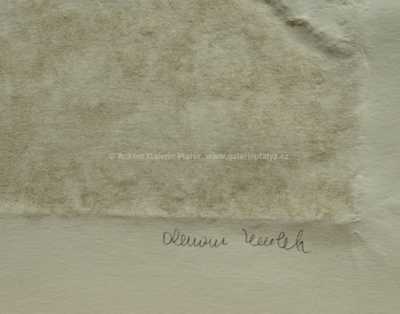  / Nahoru, dolu / Olbram Zoubek