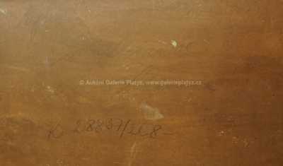  / Rybník u Křince / Jindřich Fürst