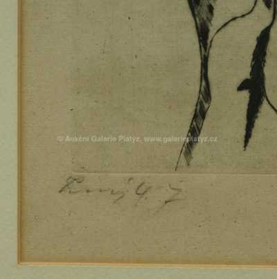  / Bílá černoška / František  Tichý