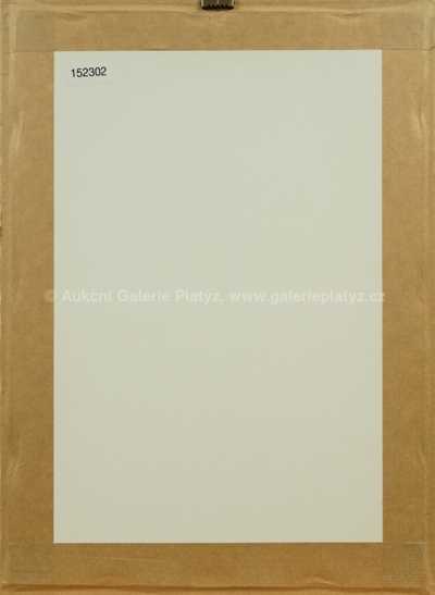  / Bílá černoška / František  Tichý