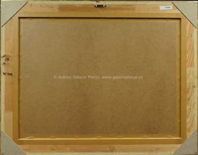  / Dravci / Antonín Procházka