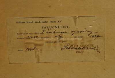  / Z českomoravské vysočiny / Karel Schauer