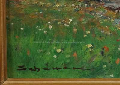  / Z českomoravské vysočiny / Karel Schauer