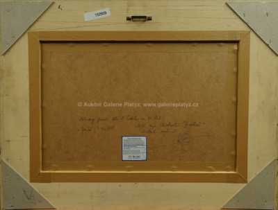  / Bájné zvíře / František  Tichý