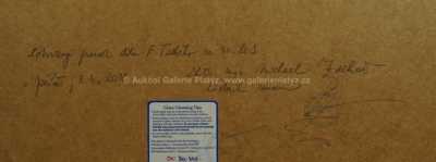  / Bájné zvíře / František  Tichý