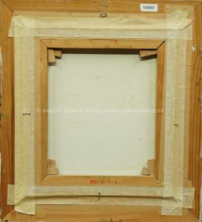  / Proměna / Zdeněk Hajný