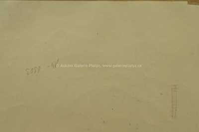  / Na lovu / Zdeněk Burian