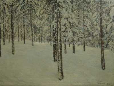  / Zasněžený les / František Líbal