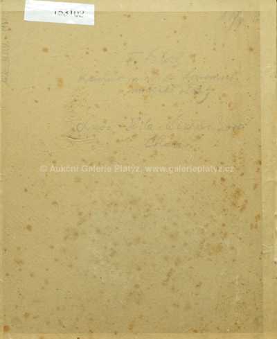  / Karlův most / František Líbal