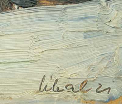  / Krkonoše / František Líbal