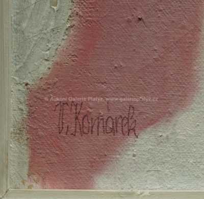  / Dívka s náhrdelníkem / Vladimír Komárek