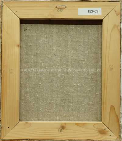  / Dívka s náhrdelníkem / Vladimír Komárek