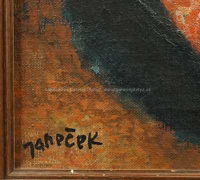  / Buňka / Ota Janeček