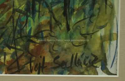  / Na cestě / Vojtěch  Sedláček