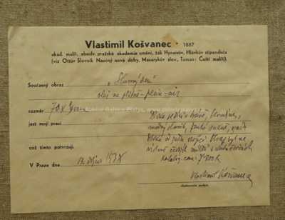  / Slunný den / Vlastimil  Košvanec