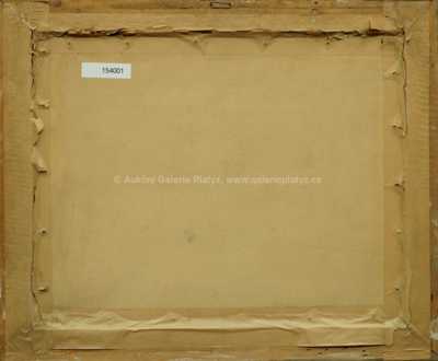  / Beskydy / Alois Schneiderka